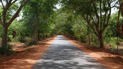 Un camino de Auroville