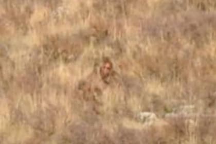 El supuesto Pie grande está escondido entre los matorrales del camino que une las ciudades de Silverton con Durango en Colorado, Estados Unidos