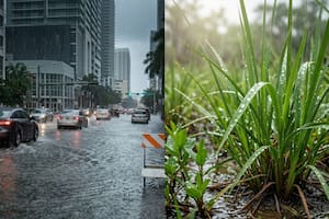 Noticias del sur de Florida y Miami hoy: alerta por tormentas y riesgo de inundaciones