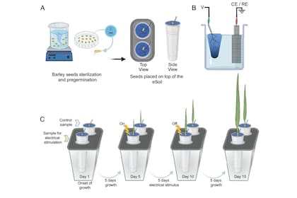 El sustrato creado en la universidad de Linköping permite distribuir una corriente eléctrica de muy bajo voltaje que estimula las raíces de las plantas y logra que sumen más follaje en menos tiempo