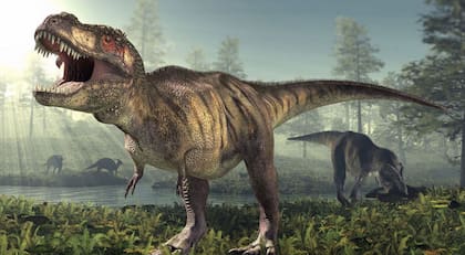 El T-rex pasó de usar sus brazos para sujetar presas pequeñas a usar cráneos masivos y mordidas potentes