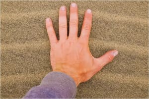 El novedoso fenómeno que llevó a los científicos a descubrir el séptimo sentido