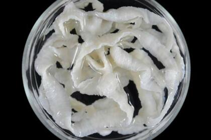 Cada tipo de parásito se combate con un medicamento específico y, en algunos casos, debe repetirse el tratamiento unas semanas después