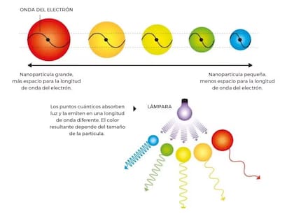 El tamaño de la nanopartícula define el color que emite; con esos puntos se generan las imágenes, con mayor definición y control de color que los paneles convencionales
