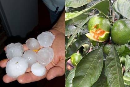 El tamaño de la piedra que cayó en una finca en Monte Caseros