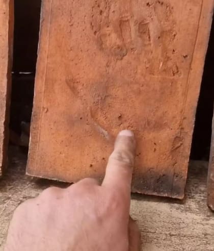 El tamaño de las huellas dentro del ladrillo