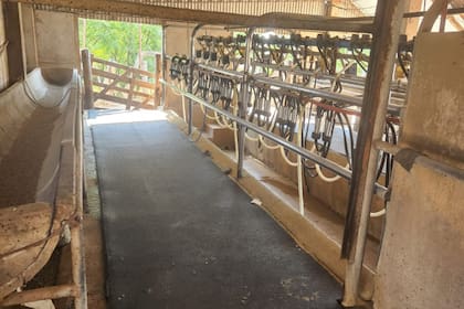 El tambo del productor en Humberto 1°, Santa Fe