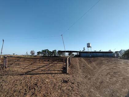 El tambo quedo vació
