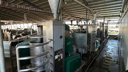 El tambo tiene cuatro robots de ordeño