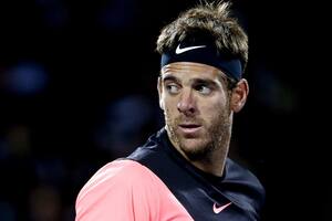 El futuro de Del Potro: el ranking y los próximos torneos