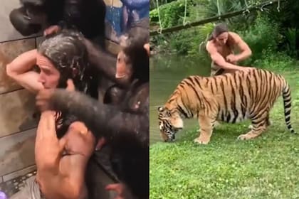 El Tarzán de la vida real se llevó todos los elogios en las redes sociales por su interacción con los animales