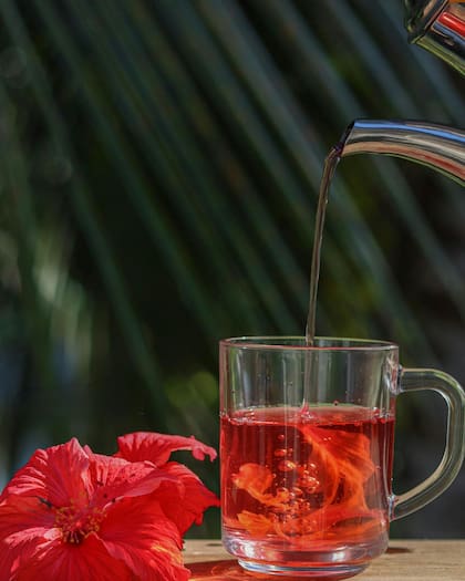El té de hibisco ofrece beneficios antivirales y cardiovasculares