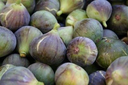 El té de hojas de higo también posee propiedades antiinflamatorias que permiten el alivio de dolores articulares, musculares y molestias digestivas