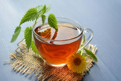 El té de poleo tiene la ventaja de ser muy fácil de ser preparado en el hogar (imagen ilustrativa)