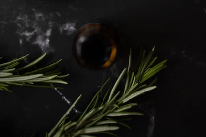 El té de romero ofrece diversos beneficios para el cuerpo humano (Foto Pexels)