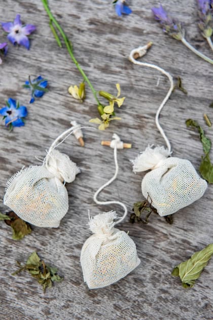 El té en saquitos de Sabiablends