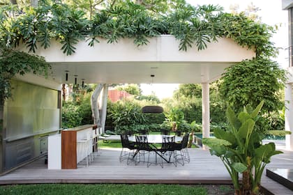 El techo, una cubierta verde consolidada por un filodendro (Philodendron bipinnatifidum) colgando del borde, lo vincula con el jardín y la textura del follaje circundante.