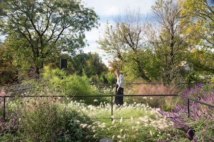 El techo verde funciona como un jardín más.
