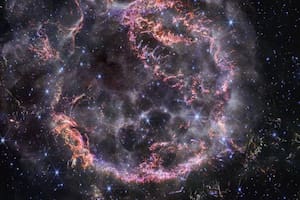 Así es la increíble nebulosa “Cabeza de Caballo” que captó el Telescopio James Webb
