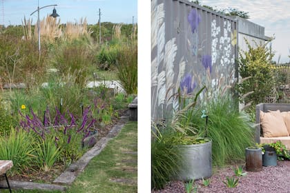 El telón de fondo: cortaderia selloana Miscanthus sp., Pennisetum rupelli, lemon grass y Salvia leucantha (que crece más baja porque esta zona está más expuesta a los vientos). A la derecha, la superficie cercana a un container de chapa, cubierto con piedra suelta.