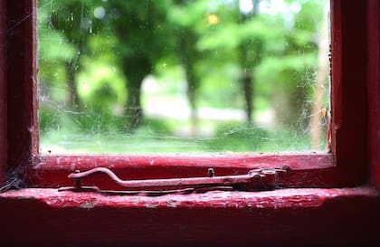 El temor a salir a espacios abiertos se conoce como agorafobia; sin embargo, la mujer no lo padecía