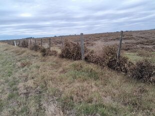 El temporal afectó a 1000 hectáreas de la empresa