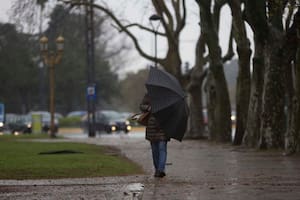 El temporal de frío, lluvia y fuertes vientos que afecta a Buenos Aires ha provocado la caída de algunos árboles e inconvenientes en el tráfico en la ciudad.