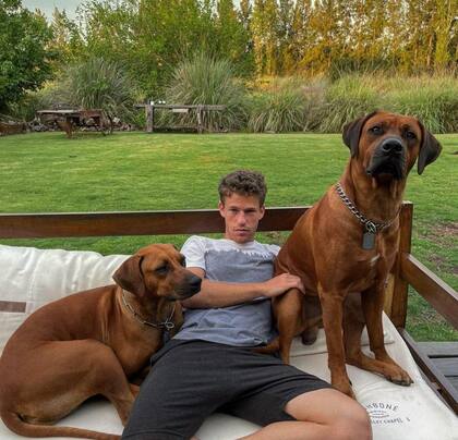 El tenista Diego Schwartzman y un momento de descanso en compañía de Ziggy y Bob, sus perros de raza Rhodesian Ridgeback.