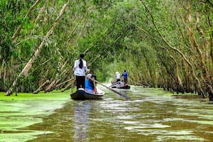 Viaje por el río Mekong: qué ver entre arrozales, manglares y pueblos tradicionales