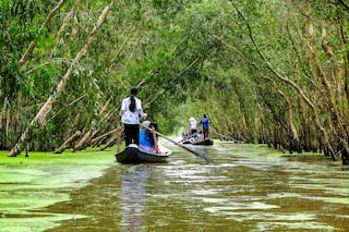 Viaje por el río Mekong: qué ver entre arrozales, manglares y pueblos tradicionales