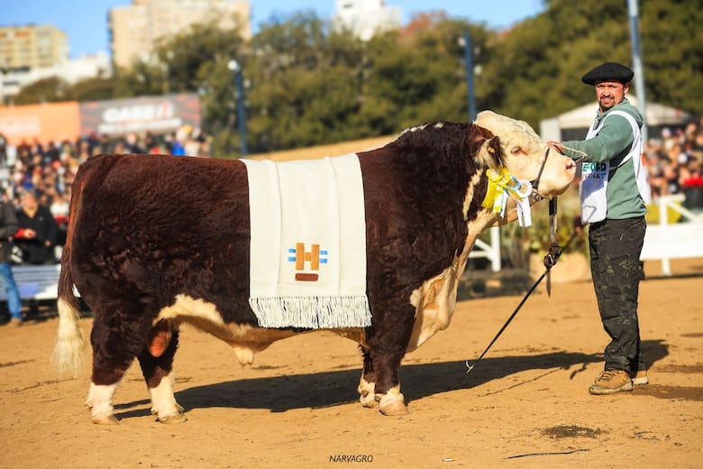 Sacerdote sorprendió en Hereford y Géminis hizo historia en Angus en la Rural de Palermo 2025