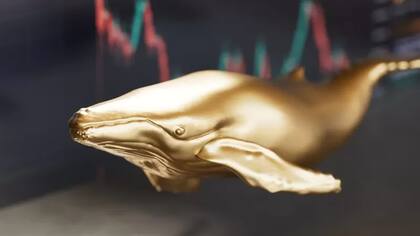 El término "HODL", siempre escrito con mayúscula en las redes sociales, aparentemente tendría su origen en un foro de Bitcointalk, cuando un usuario escribió "I AM HODLING", con falta de ortografía, dando lugar a una de las expresiones más conocidas en el mundo cripto