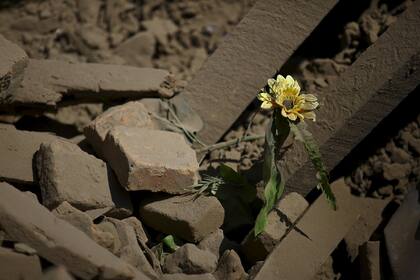 La tragedia podría haber logrado lo que ninguna voluntad humana pudo: que los partidos lleguen a un acuerdo para dictar una Constitución