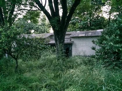 El terreno, antes de la obra. En primer plano, botón de muestra de los viejos frutales.