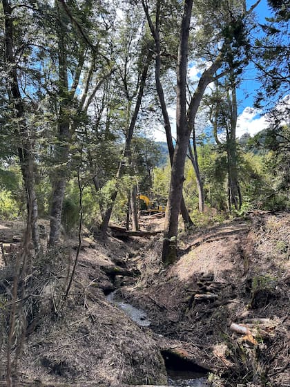 El terreno, en el cual construirán el hotel, cuenta con un arroyo que atraviesa el bosque