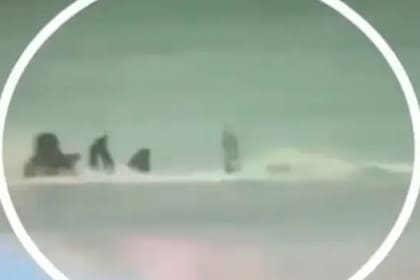 El terrible video que muestra el ataque de un tiburón a un surfista