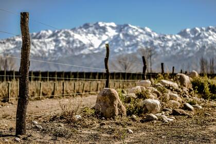 ¿El terroir importa? Paraje Altamira también tiene sus viñedos