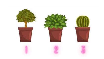 El test de las tres macetas que te invita a descubrir tus fortalezas