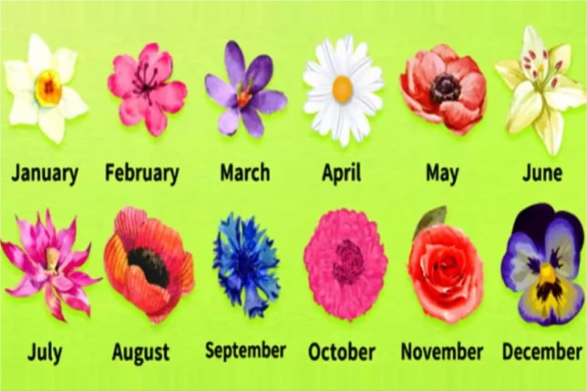Test de personalidad: conocé más sobre vos mismo de acuerdo a la flor del mes de tu cumpleaños