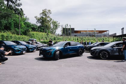 El test drive también incluyó a los modelos 3008 y 5008.