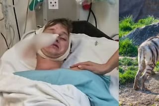 El testimonio de hombre que sobrevivió al ataque de hienas mientras acampaba en Sudáfrica