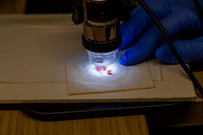 El textil lleva más de 3000 años en las cuevas de Judea