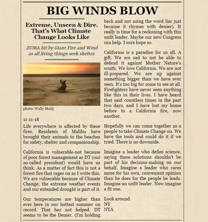 El texto de Neil Young en el que critica a Trump