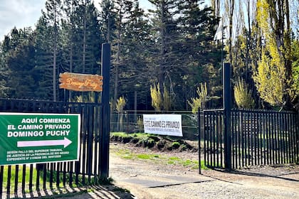 El texto propone facilitar la compra de tierras por parte de ciudadanos extranjeros.