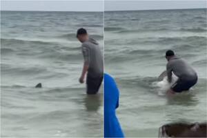 Pescaba en una playa de Florida y sacó un tiburón: la increíble reacción de los bañistas al verlo