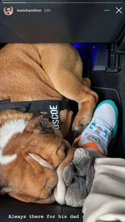 El tierno mensaje de Hamilton para su gran compañero
