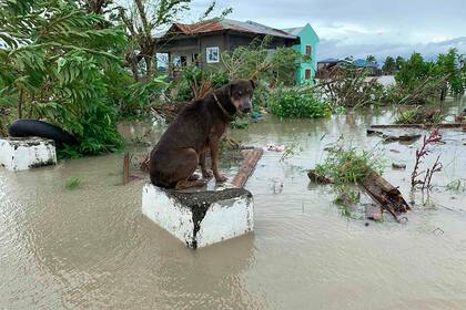 El tifón arrancó tejados y provocó millonarias pérdidas materiales