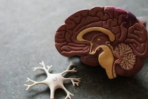 Descubren qué ácido graso hay que tener en el cuerpo para tener menos riesgo de sufrir Alzheimer