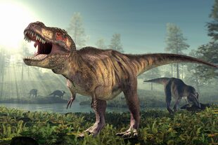 El Tiranosaurios Rex es uno de los más poderosos depredadores que existieron sobre el planeta