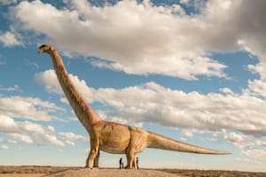El Titanosaurio de Trelew, la réplica del dinosaurio más grande del mundo (encontrado en esta zona) es spot obligado de fotos a la vera de la ruta.
